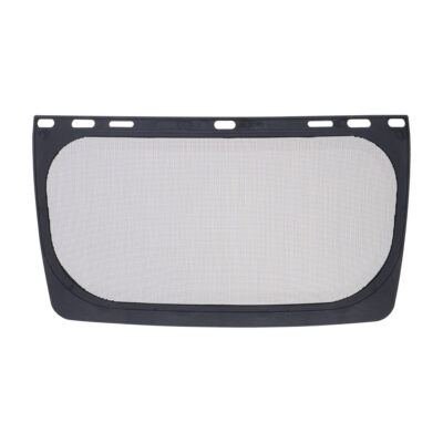 Mesh Visor